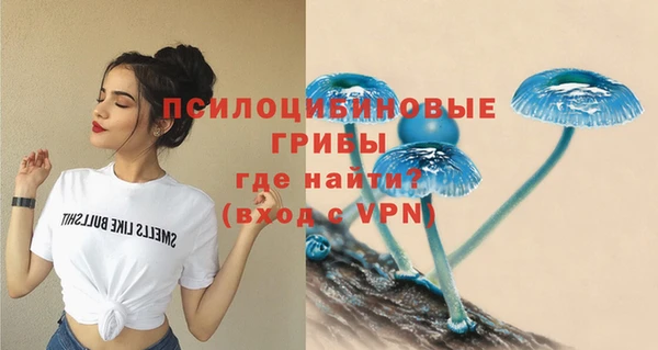 стафф Абинск