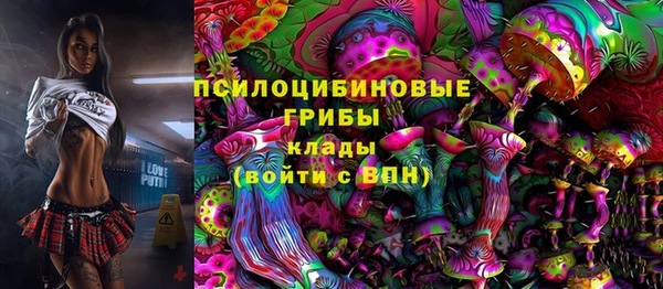 стафф Абинск